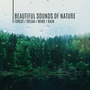 Beautiful Sounds of Nature: Forest, Ocean, Wind, Rain - Lovely Nature Music Zone