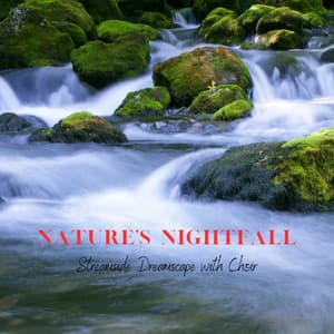 Nature's Nightfall: Streamside Dreamscape with Choir - Stereo Creek