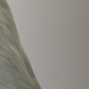 365 Complete Works 25 - Aidan O'Rourke