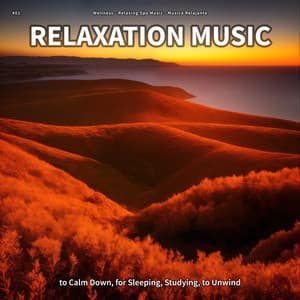 #01 Relaxation Music to Calm Down, for Sleeping, Studying, to Unwind - Wellness