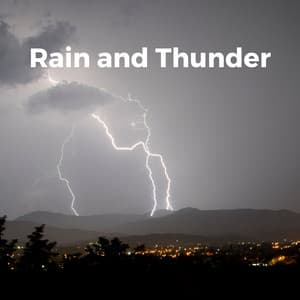 Gentle Showers and Angry Thunderstorms - Forest Rain FX
