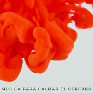 Música Para Calmar El Cerebro - Memoria Linda