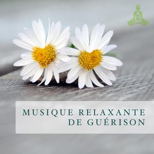 Musique Relaxante de Guérison - Musique pour Enfants Dodo