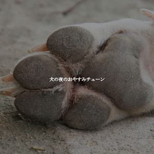 犬の夜のおやすみチューン - Co-Working Jazz Lounge