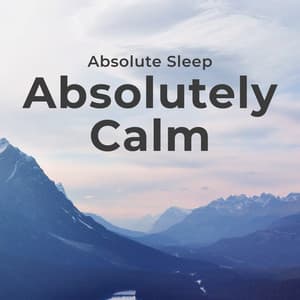 Absolutely Calm - Absolute Sleep