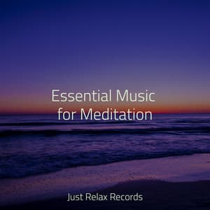 Essential Music for Meditation - Musica romantica instrumental