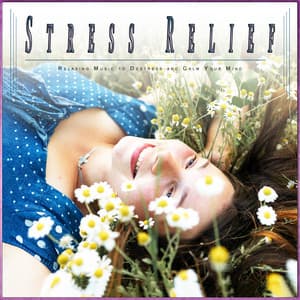 Stress Relief: Relaxing Music to Destress and Calm Your Mind - Stress Relief Experience