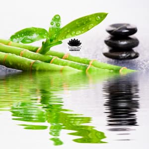 I Surrender to Deep Relaxation - Tranquility Spa Universe