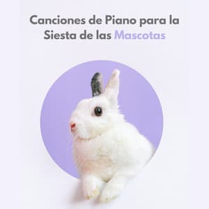 Canciones De Piano Para La Siesta De Las Mascotas - Relajación de piano definitiva