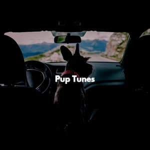 Pup Tunes - Dog Separation Anxiety Music