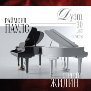 Дуэт 30 лет спустя - Сергей Жилин