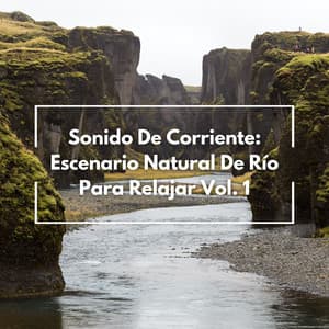 Sonido De Corriente: Escenario Natural De Río Para Relajar Vol. 1 - Ruido y Naturaleza