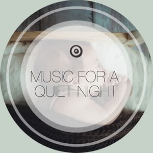 Music for a Quiet Night - Deep Sleep Music Delta Binaural 432 Hz