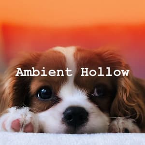 Ambient Hollow - Sounds Dogs Love