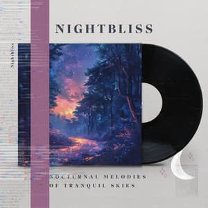 Nocturnal Melodies of Tranquil Skies - Nightbliss