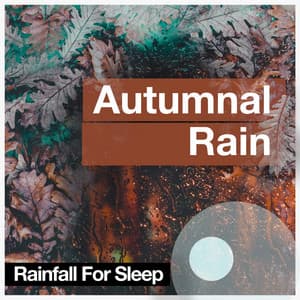 Autumnal Rain - Rainfall For Sleep