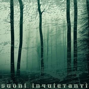 Suoni Inquietanti: Colonna Sonora Perfetta per una Notte Spaventosa - Halloween Kids