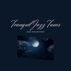 Tranquil Jazz Tunes for Nighttime Serenity - Relax Jazz Music