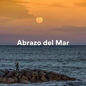 Abrazo del Mar - Musica Para Dormir
