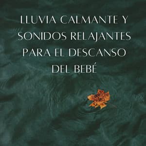 Ritmos De Gotas De Lluvia: Lluvia Calmante Y Sonidos Relajantes Para El Descanso Del Bebé - Sonido de lluvia