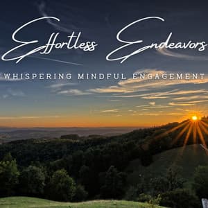 Effortless Endeavors: Meditative Work Music - Discipline Vibes