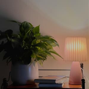 365 Reflections: A Timeless Pulse - Spa Music Relaxation