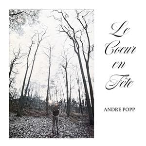 Le cœur en fête - André Popp