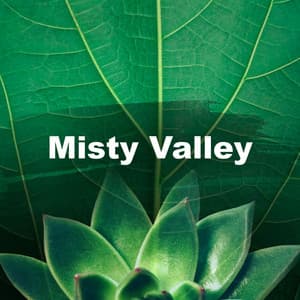 Misty Valley - Best of Mother Nature Sounds