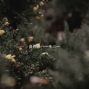 自作のハーモニー - Calming Jazz Lounge