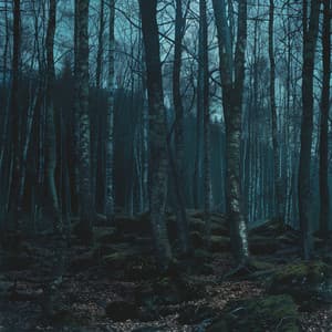 Suaves Canciones De Cuna: Música Para Noches Tranquilas - Simplemente hipnótica