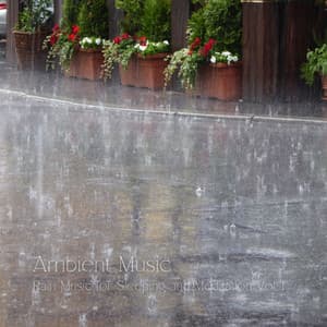 Ambient Music: Rain Music for Sleeping and Meditation Vol. 1 - Silent Night Sounds