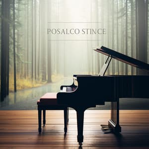 Time's Harmony: Piano Reflections - Piano Music