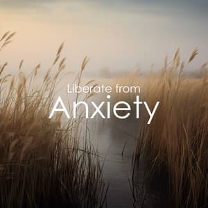 Liberate from Anxiety: Soothing Mind Music, Mollify Pain - Soothing Music Collection