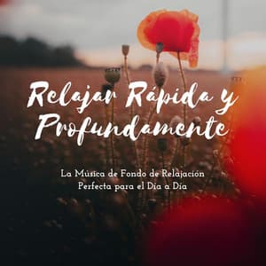 Relajar Rápida y Profundamente: La Música de Fondo de Relajación Perfecta para el Día a Día - Dias Felices Maestro