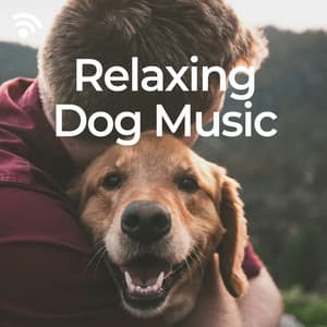 Relaxing Dog Music - The Dog Relaxer
