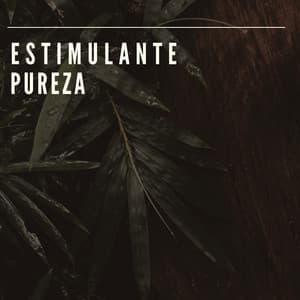 # Estimulante Pureza - Ambiente en Bucle