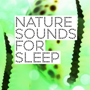 Nature Sounds for Sleep - Sounds Of Nature