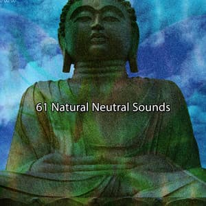 61 Natural Neutral Sounds - Musica Para Meditacion Profunda