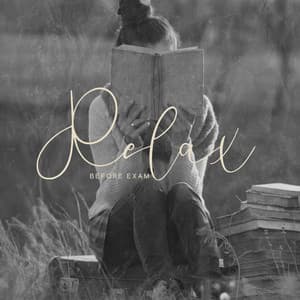 Relax Before Exam: Peaceful Music for Study Focus, Improwing Memory, Relaxation Before Session - Brain Study Music Guys