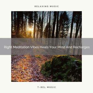 Right Meditation Vibes Heals Your Mind And Recharges - Sanctuary Of Relax