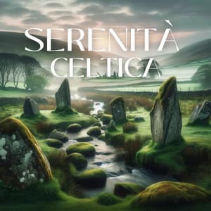 Serenità Celtica: Musica per un riposo rigenerante - Musica Rilassante Maestro