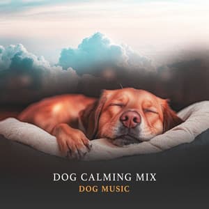 Dog Calming Mix - Dog Music