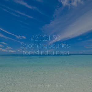 #2024 50 Soothing Sounds for Mindfulness - Sonidos de la Naturaleza Relajacion
