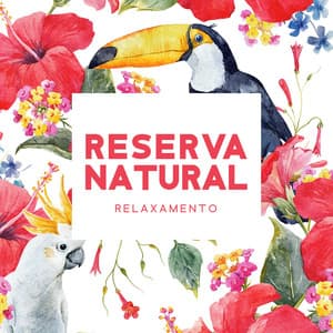 Reserva Natural: Relaxamento Profundo com Sons de Pássaros - Relaxar Meditação Clube