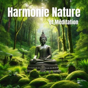 Harmonie Nature et Méditation: Sons de la Nature et Musique Méditative pour la Sérénité de l'Esprit - Harmonie et Bien-etre Zone