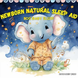 Newborn Natural Sleep Aid for Baby Sleep - Little Sleep World
