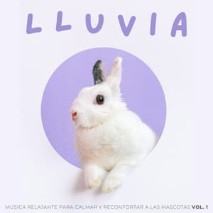Lluvia: Música Relajante Para Calmar Y Reconfortar A Las Mascotas Vol. 1 - Grabadora Lluvia