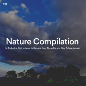 #01 Nature Compilation for Reducing Distractions, to Balance Your Thoughts and Stay Asleep Longer - The Nature Soundscapes