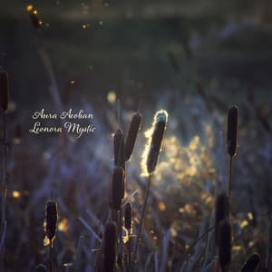 Tuning the Velvet Void - Aura Aeolian