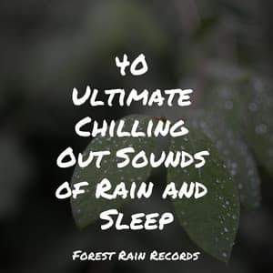 40 Ultimate Chilling Out Sounds of Rain and Sleep - Sound Sleeping